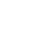 Morris Group International acorn logo